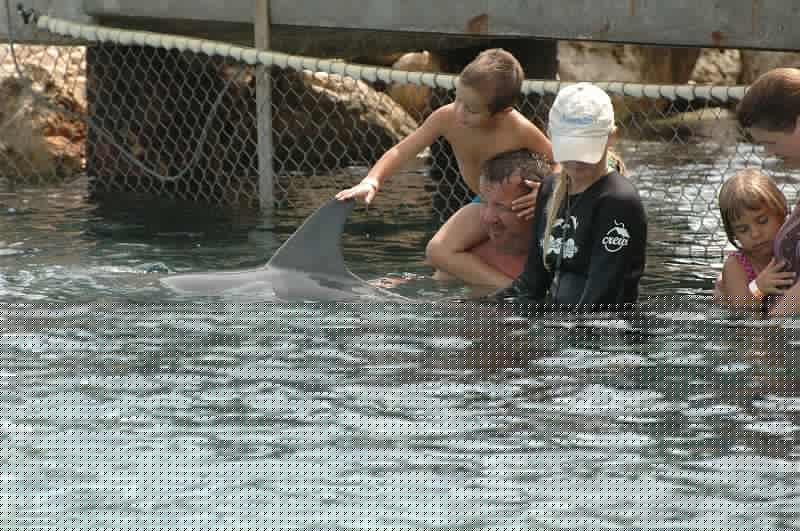 dauphin 043.jpg